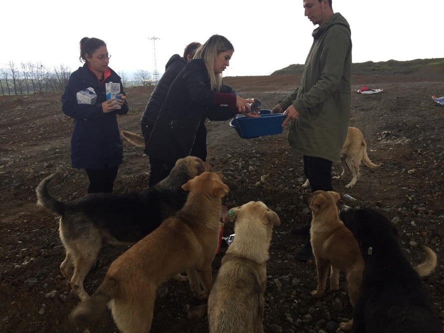 Satın Alma Sahiplen! - 40