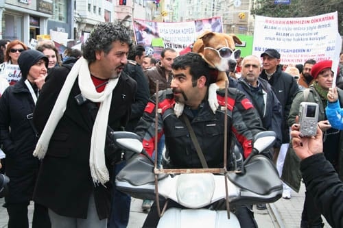 Hayvanseverler Yaşam Hakkı İçin Yürüdü

 - 49