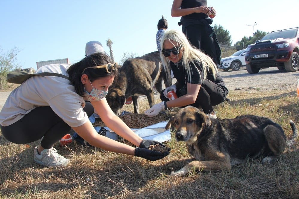 Dünya Hayvanları Koruma Günü - 31