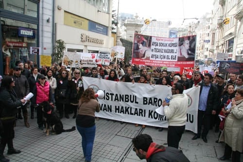 Hayvanseverler Yaşam Hakkı İçin Yürüdü

 - 17