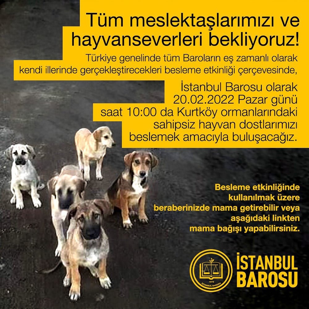 20 Şubat Orman Beslemesi