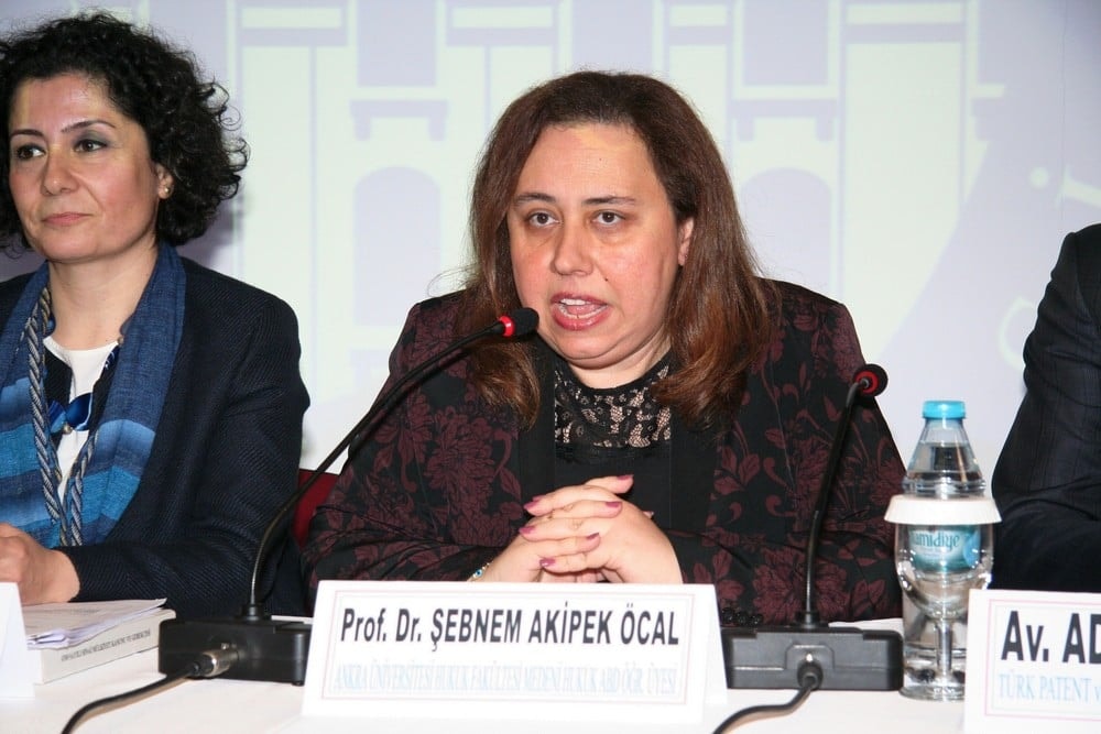 Sınaî Mülkiyet Kanununun Uygulamacılara Etkileri - 162