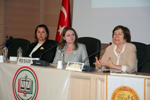 Kadın Cineyetlerinde Takdiri Hafifletici Sebepler Ve Tahrik İndirimi
 - 22