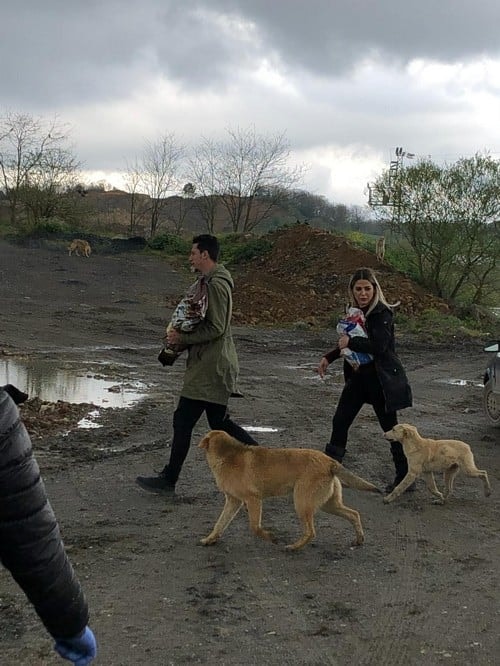 Satın Alma Sahiplen! - 28