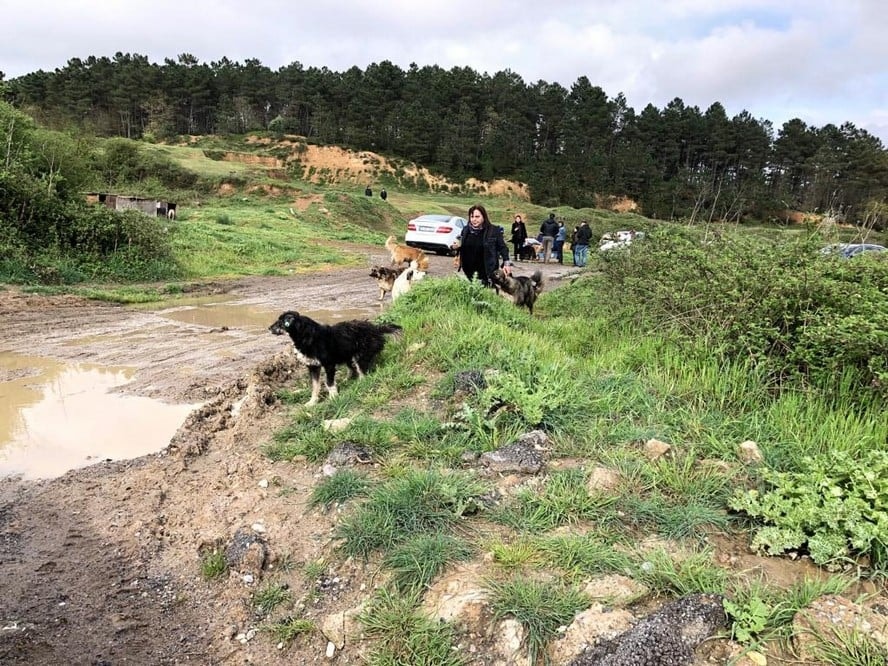 Satın Alma Sahiplen! - 33