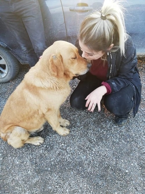 Satın Alma Sahiplen! - 42