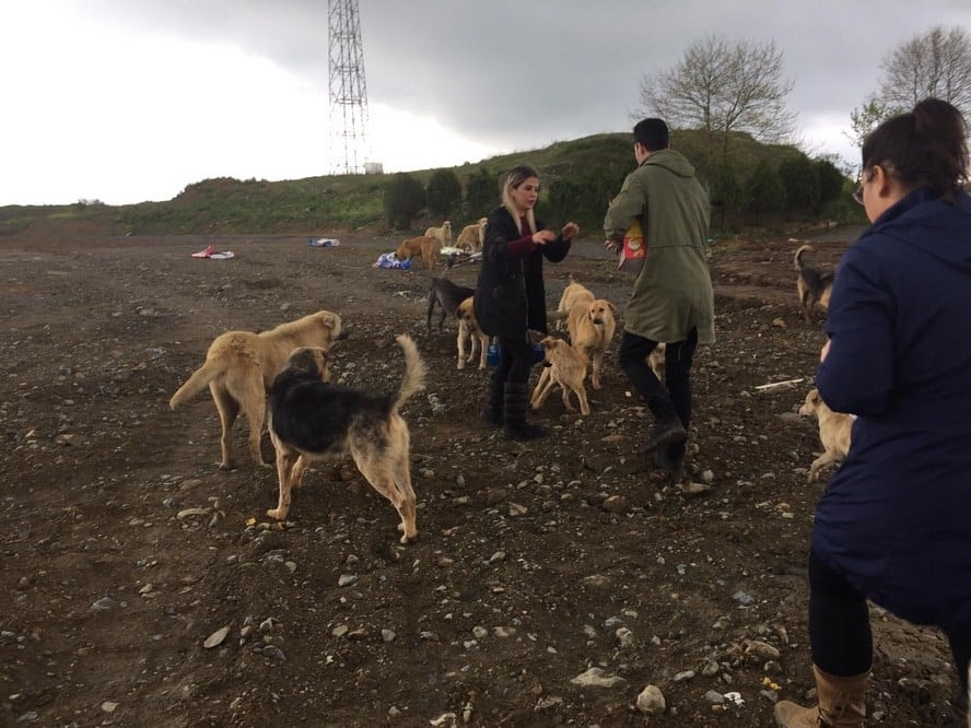 Satın Alma Sahiplen! - 3