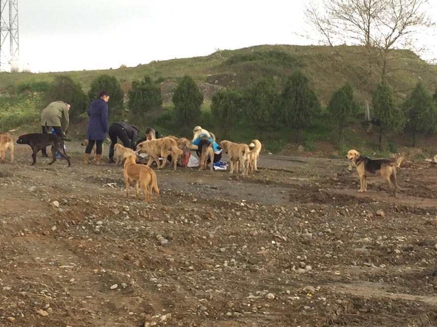 Satın Alma Sahiplen! - 45