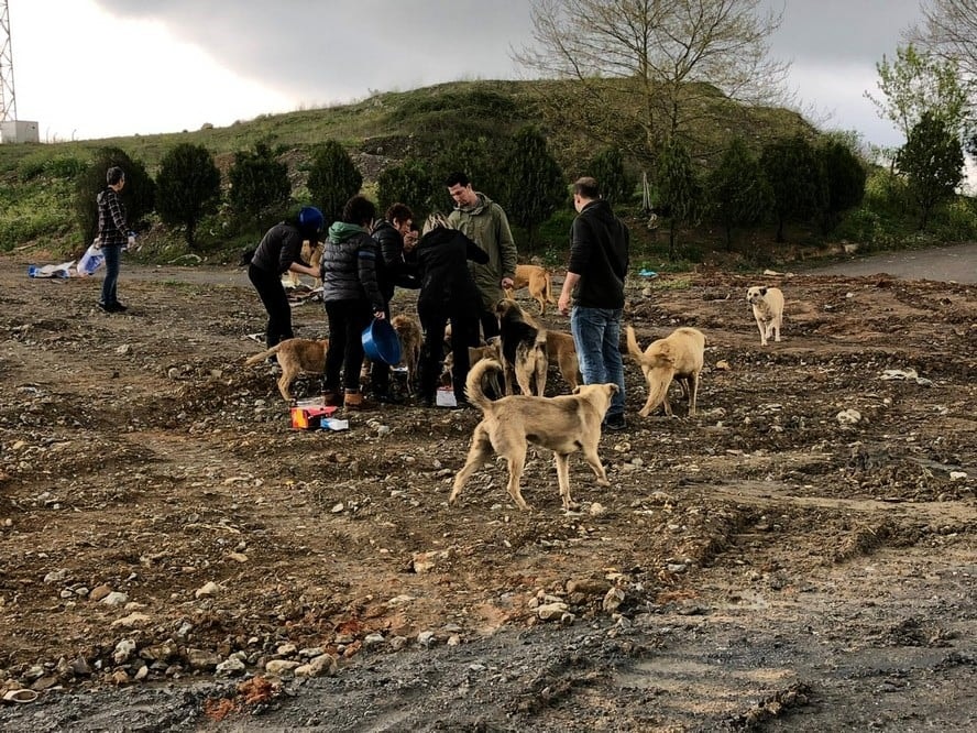 Satın Alma Sahiplen! - 12