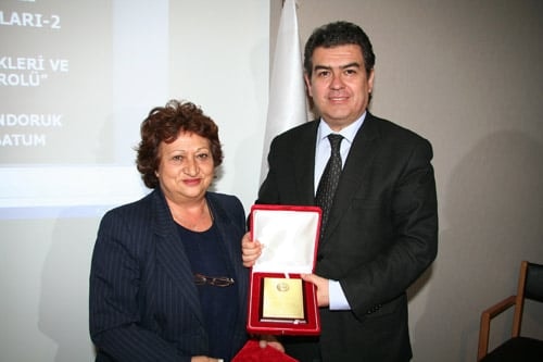 Anayasa Değişiklikleri Ve Parlamentonun Rolü - 17