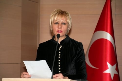 Vergi Usul Kanunu Tasarısı
 - 1