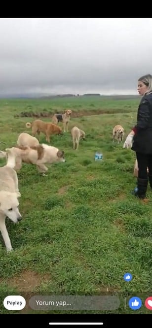 Satın Alma Sahiplen! - 70