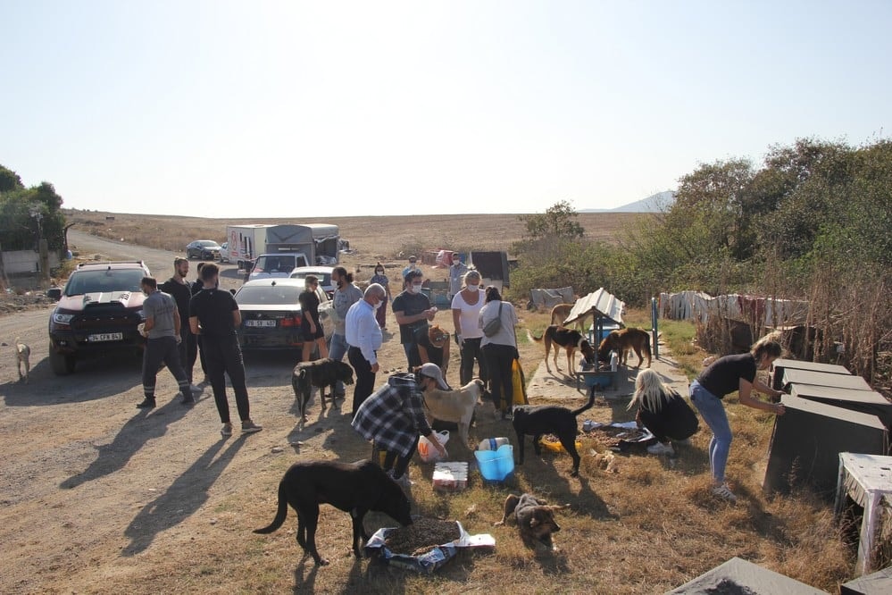 Dünya Hayvanları Koruma Günü - 32