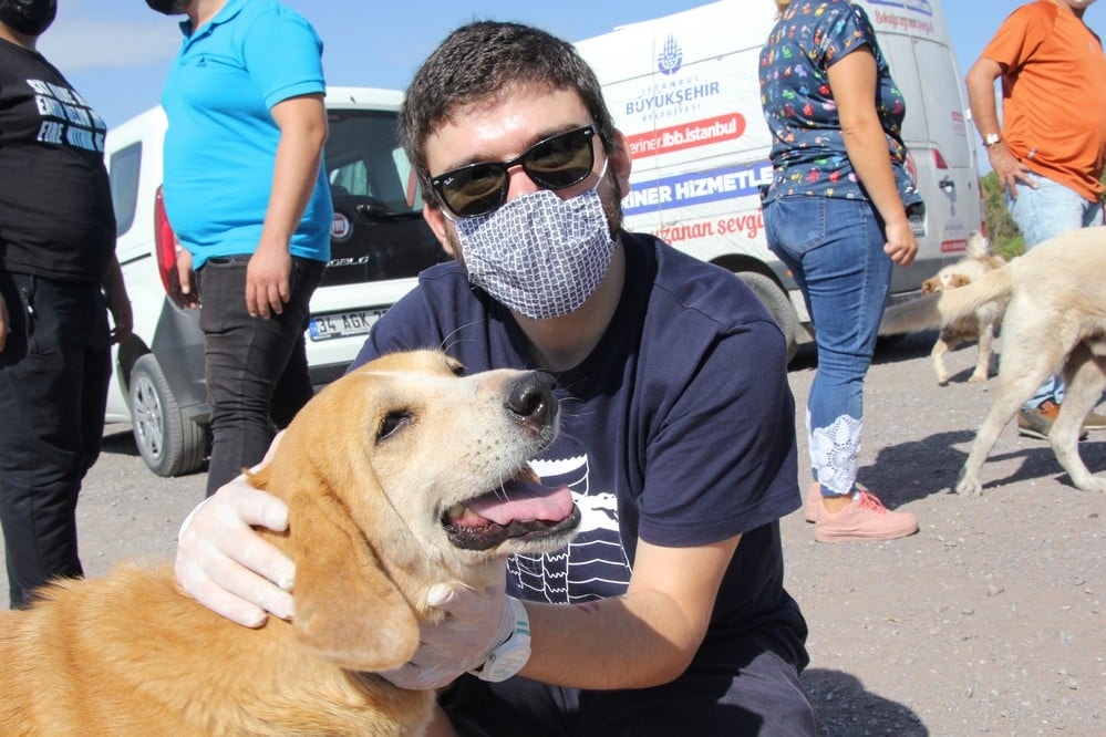 Dünya Hayvanları Koruma Günü - 18