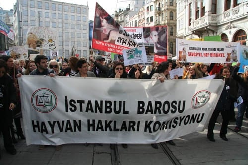 Hayvanseverler Yaşam Hakkı İçin Yürüdü

 - 1