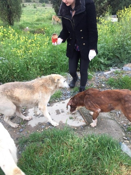 Satın Alma Sahiplen! - 14