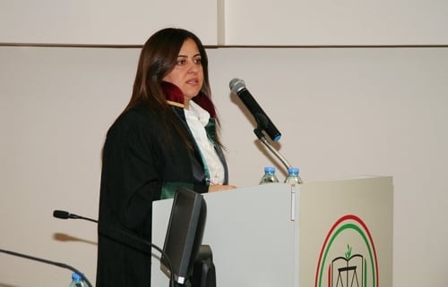 Avukatlar, Kurtçuklardan Muhteşem Kelebekler Yapmayı Becerenlerdir

 - 13