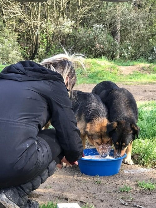 Satın Alma Sahiplen! - 26