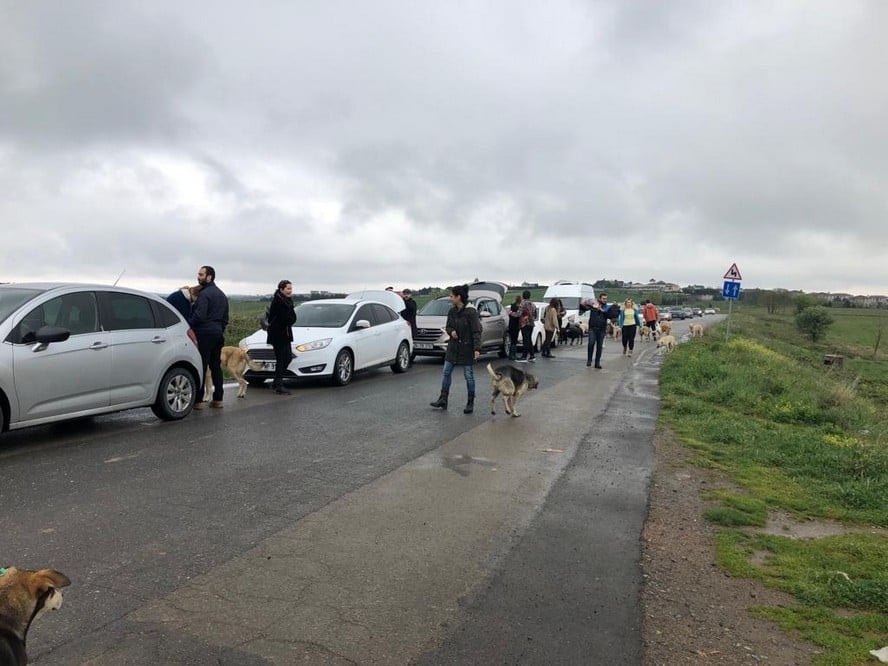 Satın Alma Sahiplen! - 20