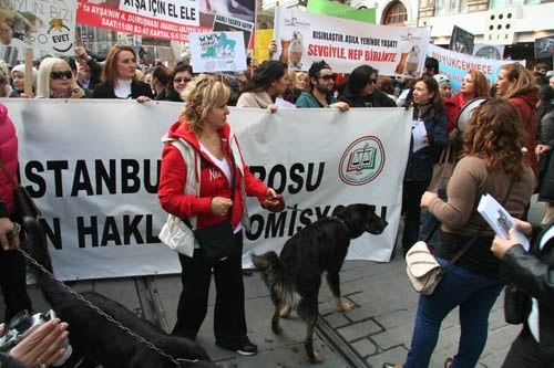 Hayvanseverler Yaşam Hakkı İçin Yürüdü

 - 3