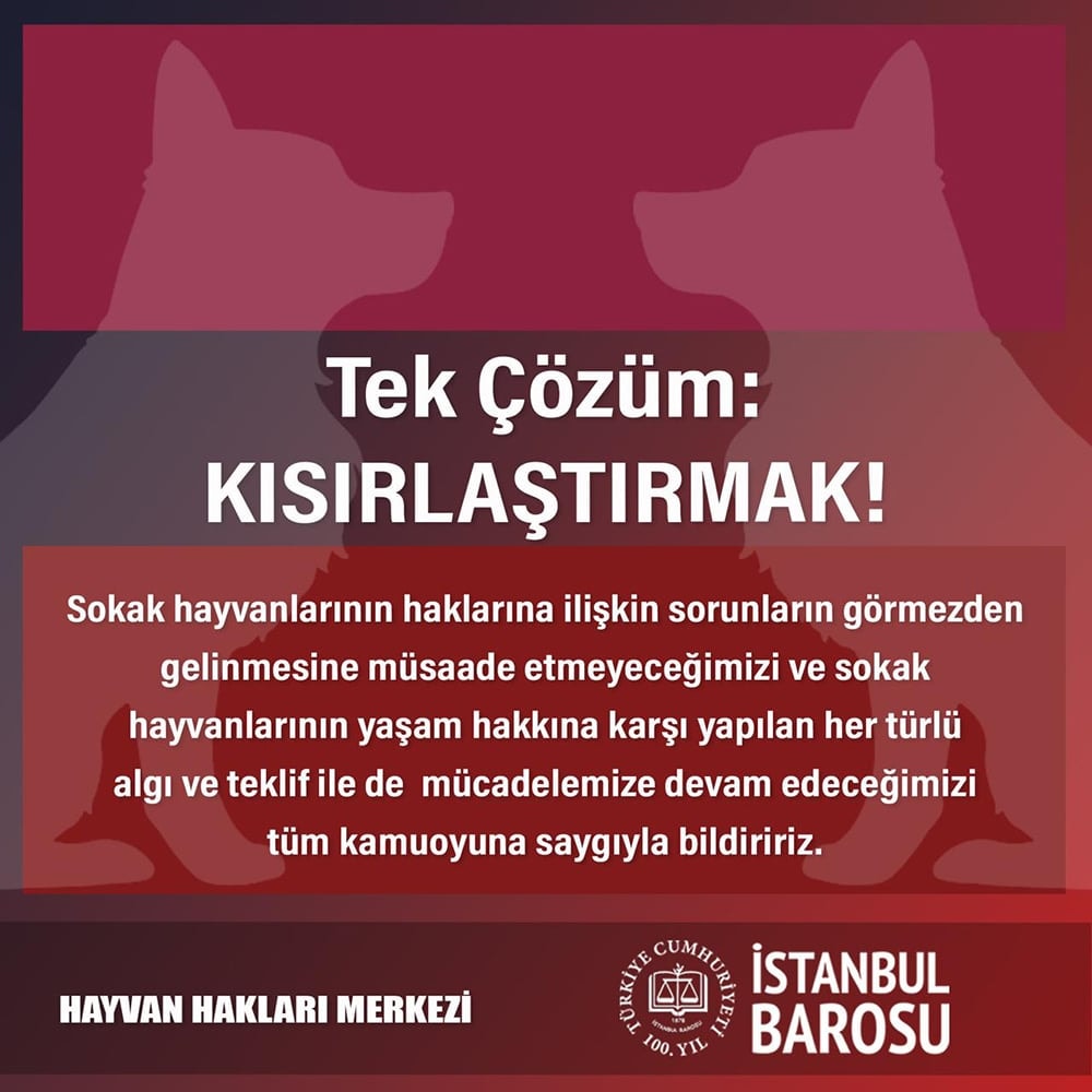 Tek Çözüm: Kısırlaştırmak!