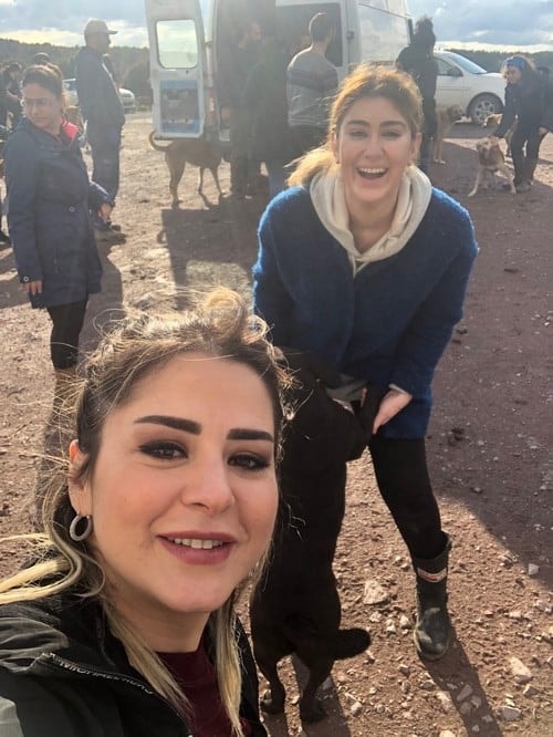 Satın Alma Sahiplen! - 66