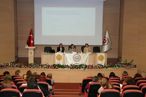 Kadın Cineyetlerinde Takdiri Hafifletici Sebepler Ve Tahrik İndirimi
 - 25