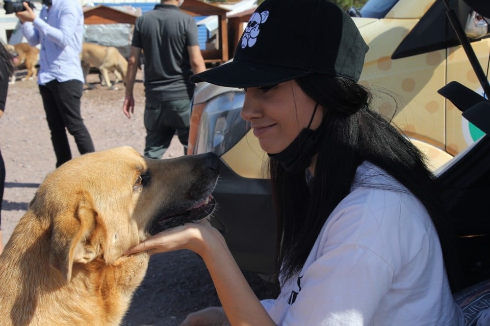 Dünya Hayvanları Koruma Günü - 19