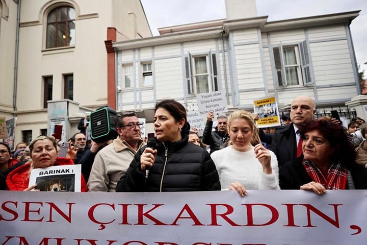 Sokak Hayvanlarını Korumak Hepimizin Görevi - 1