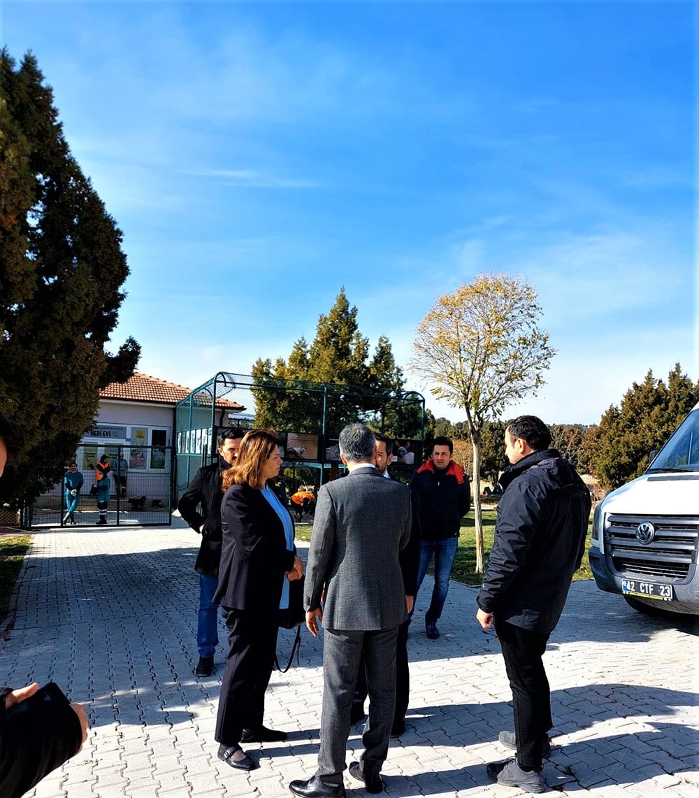 Konya Hayvan Barınağı’ndaki Vahşete Suç Duyurusu - 2