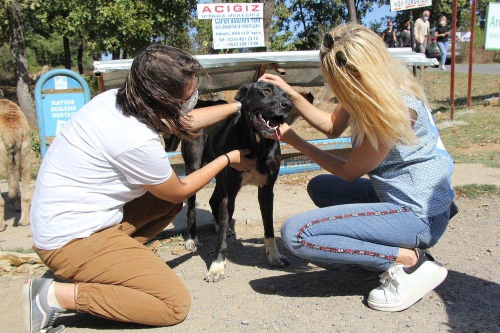 Dünya Hayvanları Koruma Günü - 27