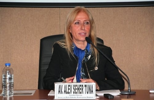 İğneada Cinayeti
 - 33