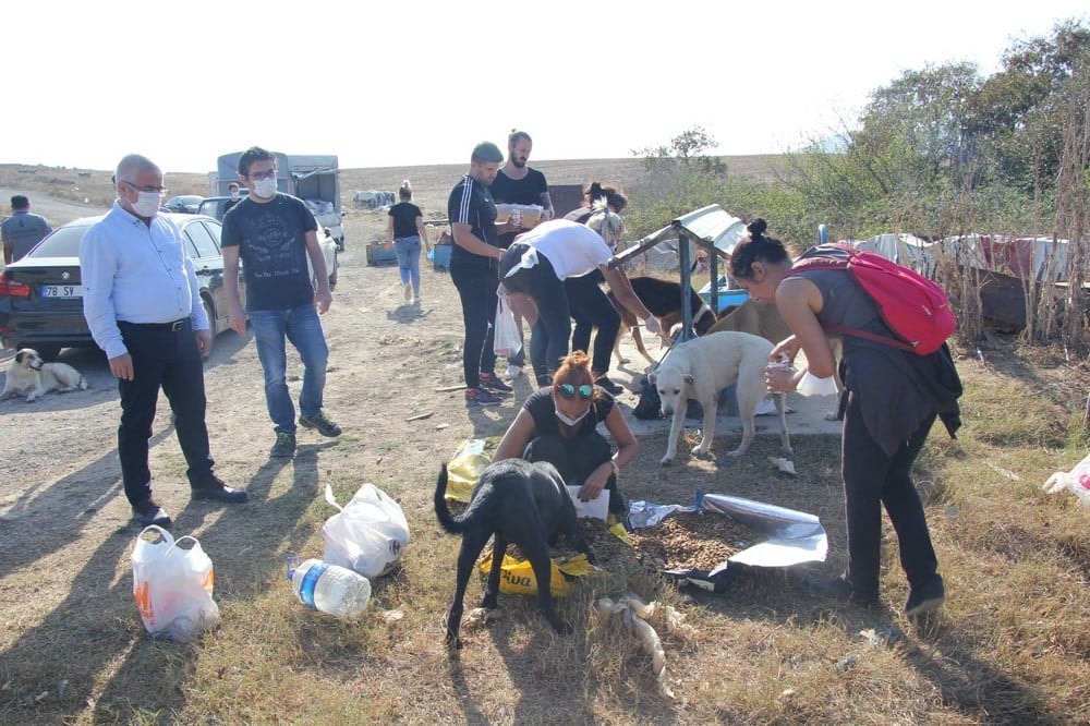 Dünya Hayvanları Koruma Günü - 7