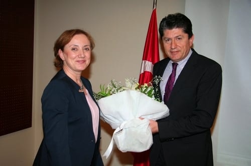 Hukuk Muhakemeleri Kanununda İstinaf Yargılaması
 - 51