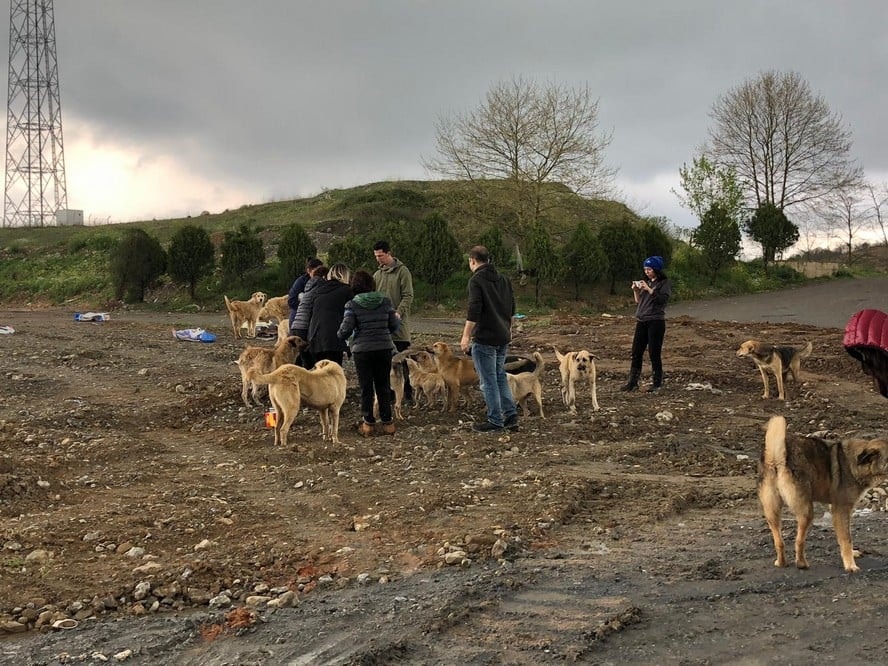 Satın Alma Sahiplen! - 19
