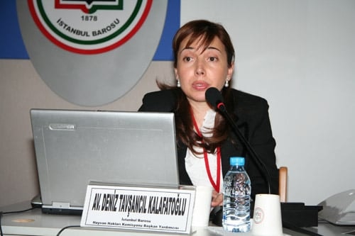 Hayvanların Yaşama Hakkı  İnsan Haklarımıza Dâhildir - 25