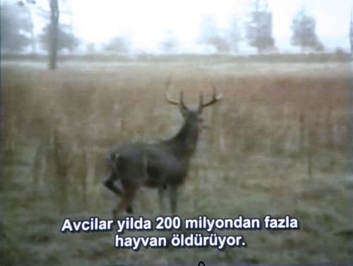 Hayvan Haklarına İlişkin Belgesel Film Gösterimi - 4