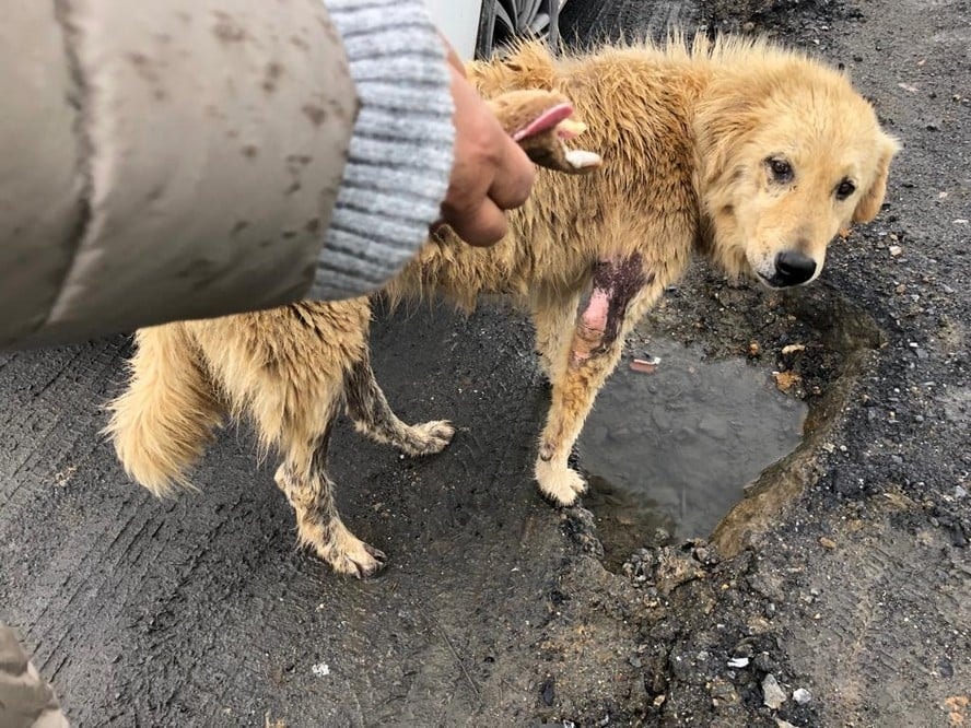 Satın Alma Sahiplen! - 29