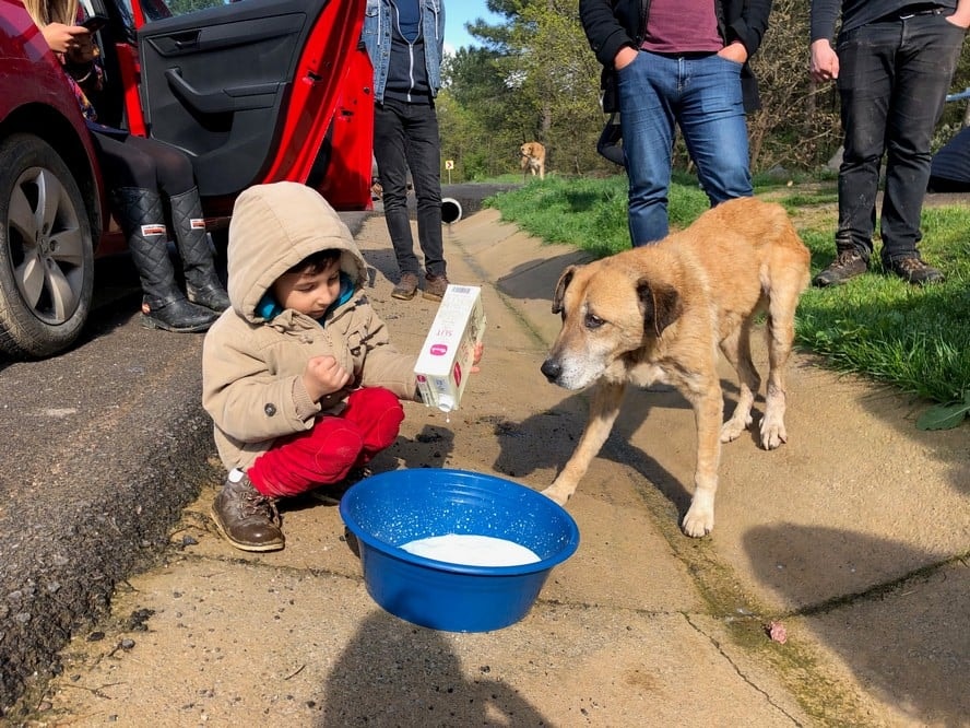 Satın Alma Sahiplen! - 61