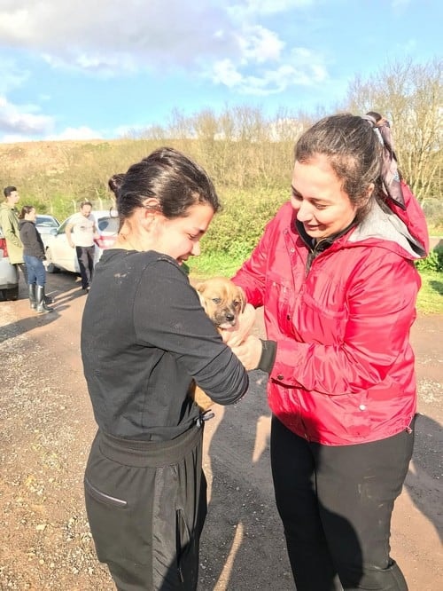 Satın Alma Sahiplen! - 43