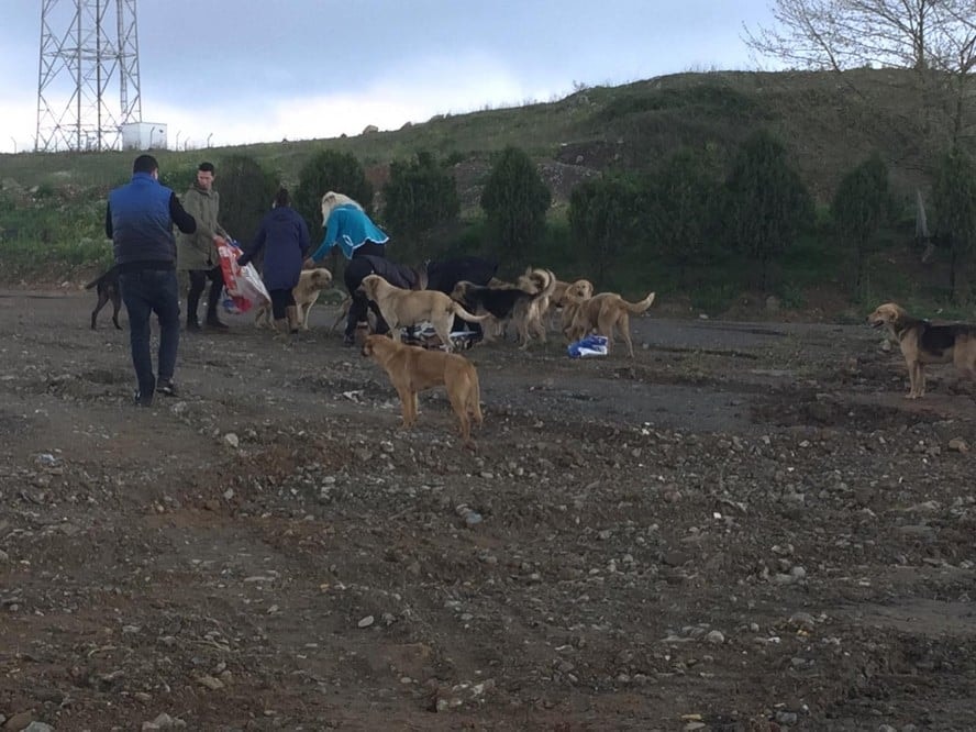 Satın Alma Sahiplen! - 15