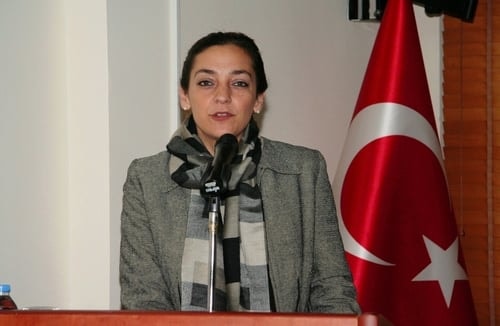 Toplumsal Olaylara Müdahalelerde İnsan Hakları Ve Sağlık Hakları İhlalleri

 - 1