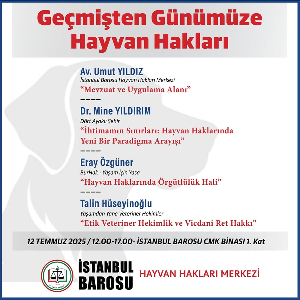 Geçmişten Günümüze Hayvan Hakları