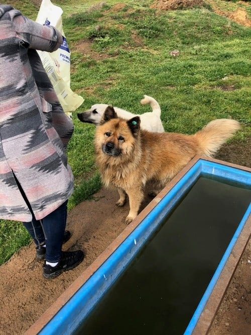 Satın Alma Sahiplen! - 51