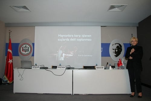 Hayvanların Yaşama Hakkı  İnsan Haklarımıza Dâhildir - 15