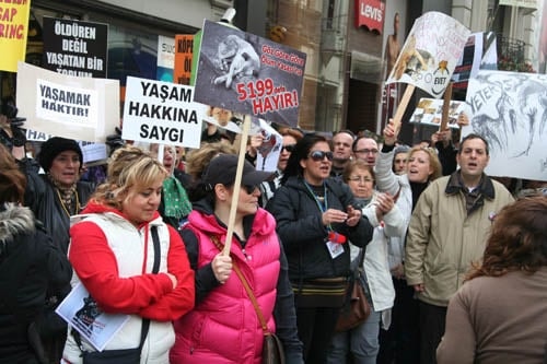 Hayvanseverler Yaşam Hakkı İçin Yürüdü

 - 41