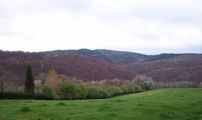 Polonezköy'e Gidiyoruz