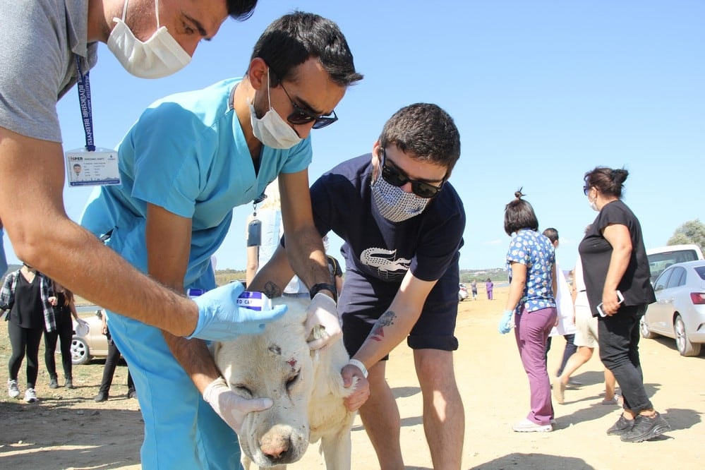 Dünya Hayvanları Koruma Günü - 30
