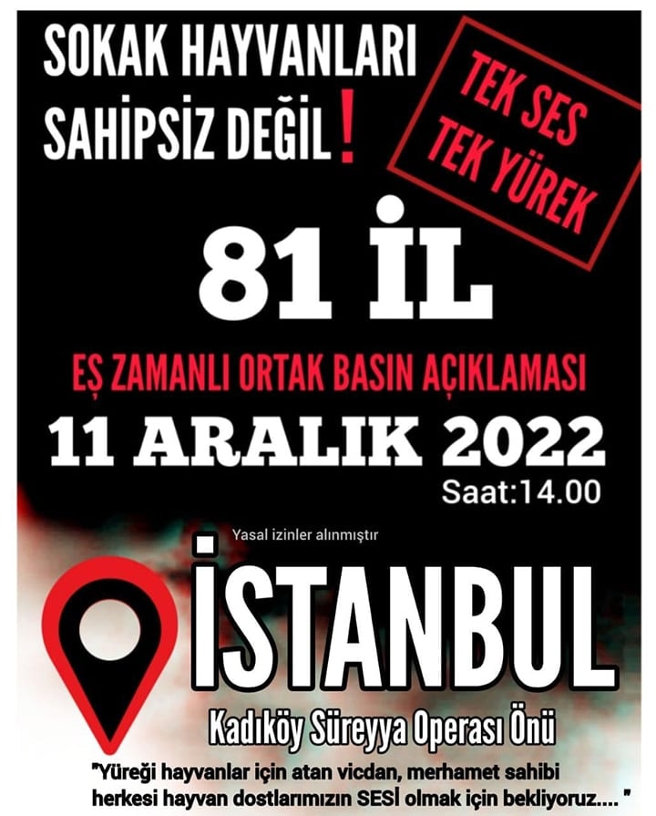 Sokak Hayvanlarını Korumak Hepimizin Görevi - 3