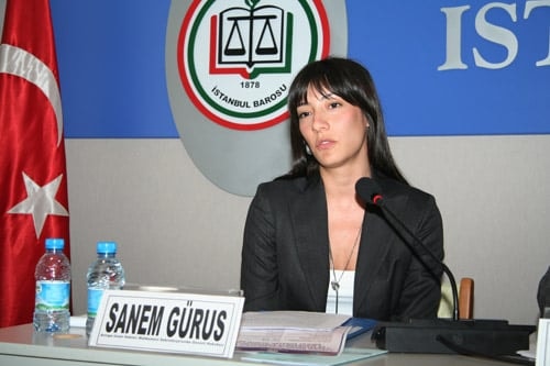 Aihm’İn İç Hukuktaki Yeri Ve Mahkemeye Başvururken Dikkat Edilecek Hususlar - 10